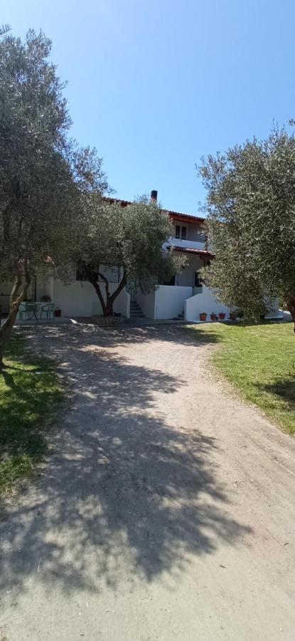 House Eugenia Sarti Apartment ภายนอก รูปภาพ