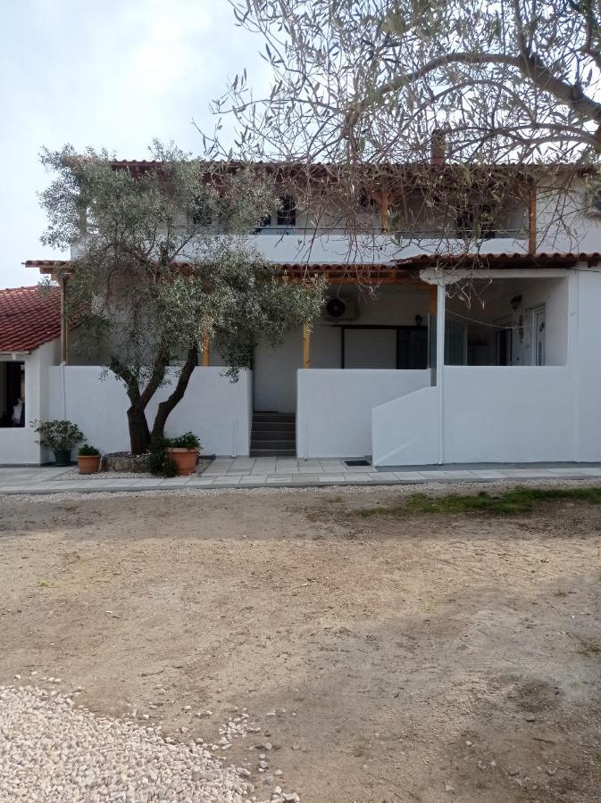 House Eugenia Sarti Apartment ภายนอก รูปภาพ