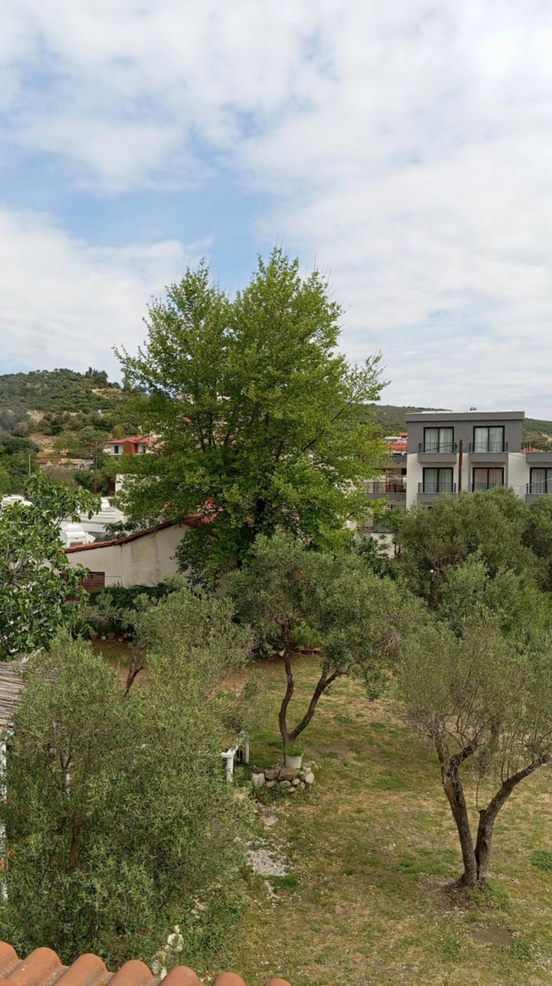 House Eugenia Sarti Apartment ห้อง รูปภาพ